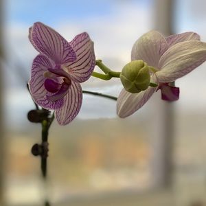 Meet your Posher, Karla